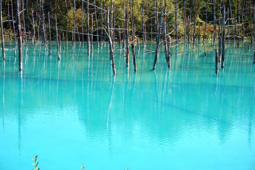 青い池４